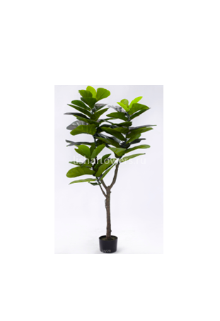 Фикус 152см 60л. Арт.1303-X5J-60BL